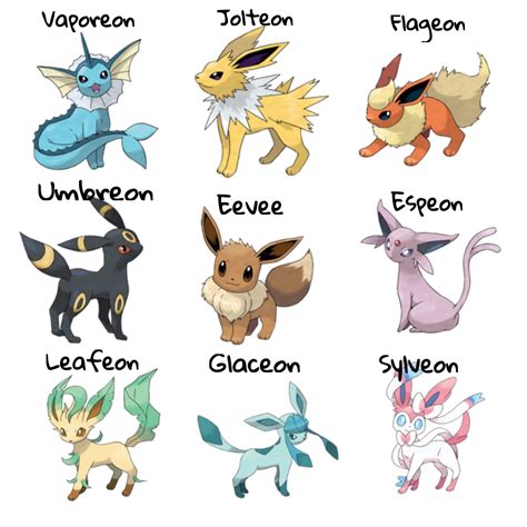evees|evolución de eevee.